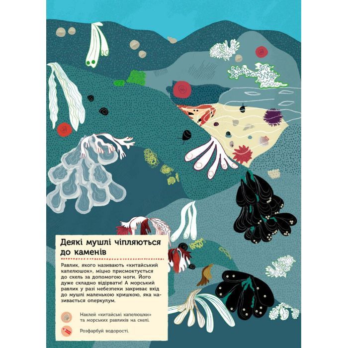 Книга На березі моря. Моя книга природи - Олівія Косно Ранок (9786170941022) зображення 2