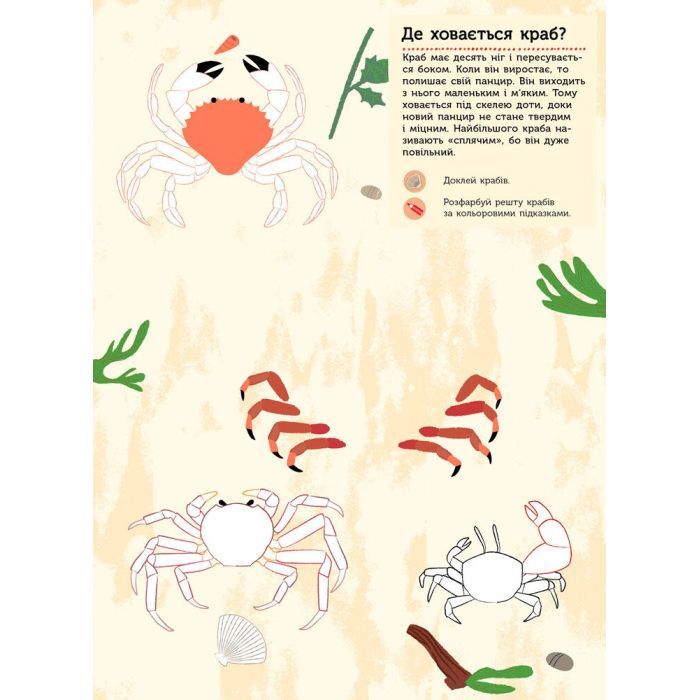 Книга На березі моря. Моя книга природи - Олівія Косно Ранок (9786170941022) зображення 3