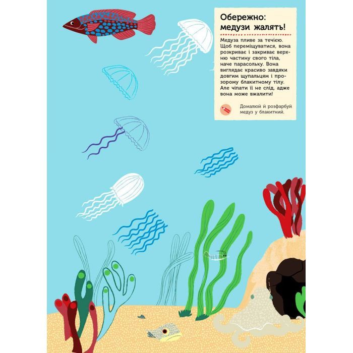 Книга На березі моря. Моя книга природи - Олівія Косно Ранок (9786170941022) зображення 5