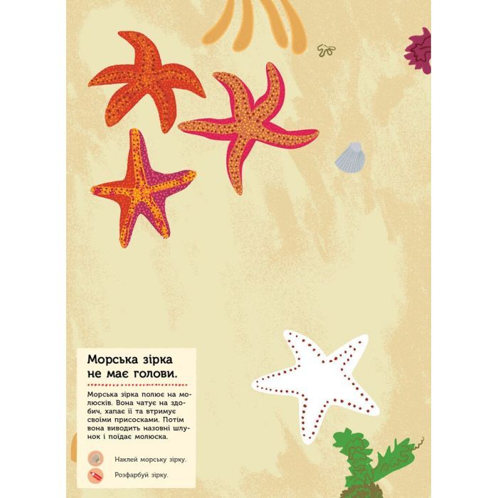 Книга На березі моря. Моя книга природи - Олівія Косно Ранок (9786170941022) зображення 6