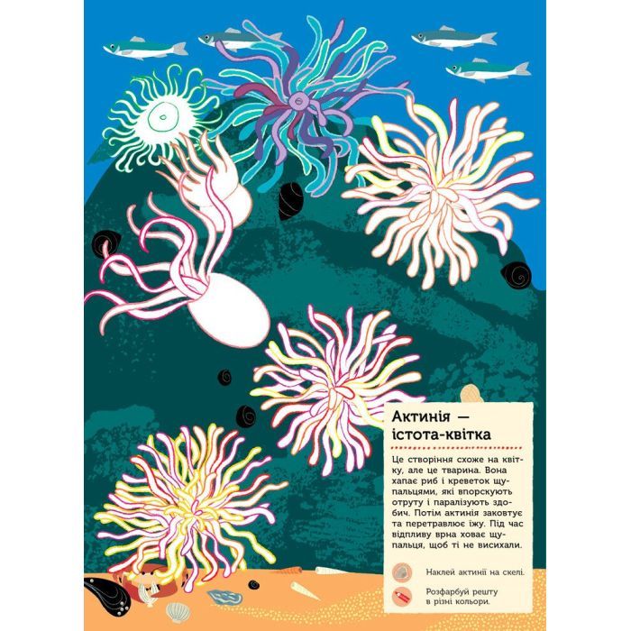 Книга На березі моря. Моя книга природи - Олівія Косно Ранок (9786170941022) зображення 6