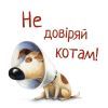 Книга Не довіряй котам. Життєва мудрість від песика Чіпа - Дев Петті Видавництво РМ (9786178603212) зображення 6