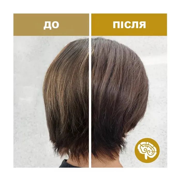 Шампунь SH-RD Reishi Volumizing Shampoo Для объема на основе рейши 200 мл (652418100294) изображение 7