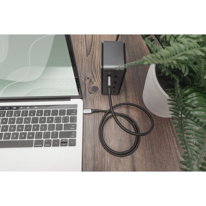 Дата кабель USB-C to USB-C 3.0m USB 4.0 black Digitus (DB-300443-030-S) зображення 2