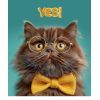 Тетрадь Школярик Star Cat's portraits 36 листов линия (036-3631L) изображение 2