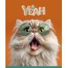 Тетрадь Школярик Star Cat's portraits 36 листов линия (036-3631L) изображение 5