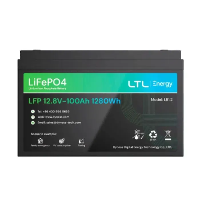 Батарея LiFePo4 Dyness LR1.2, 12.8V/100Аh 1,28kWh (LR1.2)