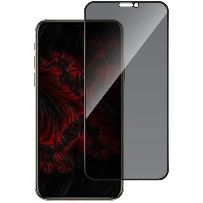 Скло захисне Intaleo Privacy Apple iPhone X/XS Black (1283126621345) зображення 2