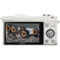 Цифровий фотоапарат Sony Alpha 5100 kit 16-50 White (ILCE5100LW.CEC) зображення 3