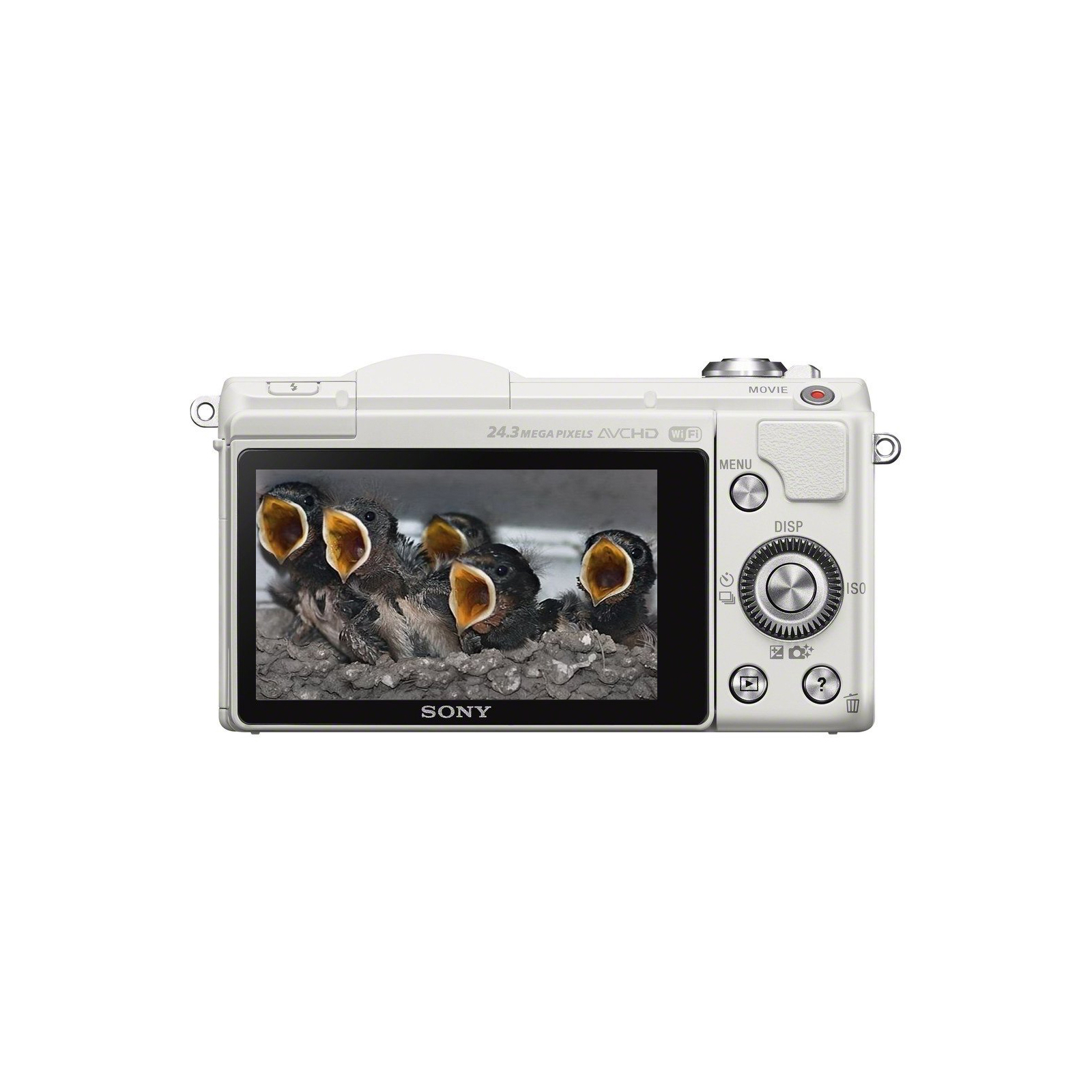 Цифровий фотоапарат Sony Alpha 5100 kit 16-50 White (ILCE5100LW.CEC) зображення 3