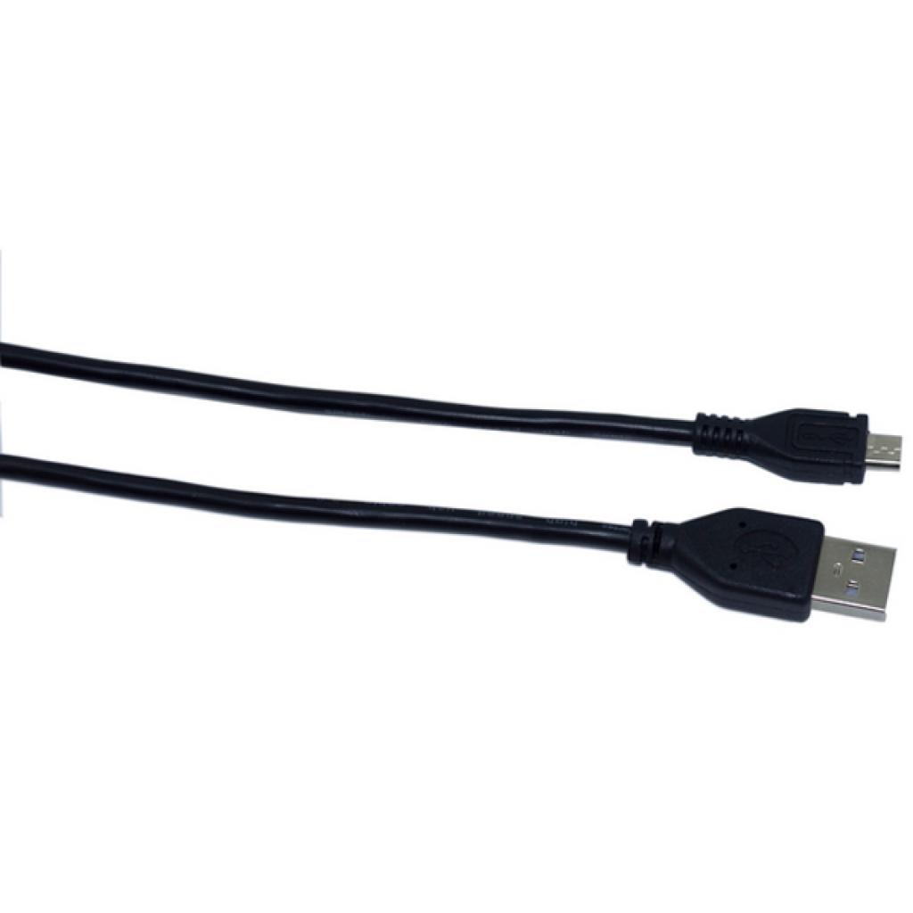 Дата кабель USB 2.0 AM to Micro 5P 0.3m Smartfortec (SFU-AMM-0.3M) зображення 2