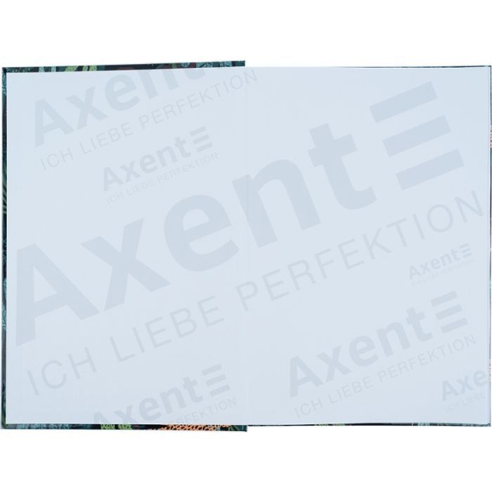 Канцелярська книга Axent Leopard А4 у твердій обкладинці 96 аркуші клітинка, зелена (8422-557-A) зображення 2