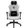 Крісло ігрове Anda Seat Phantom 3 Size L Grey (AD18Y-06-G-F)
