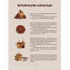 Книга Мандрівка шоколаду - Олександра Орлова Видавництво Старого Лева (9789664481127) зображення 9