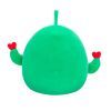 М'яка іграшка Squishmallows Друзі Кактуси 2 шт, 19 см (SQVA00845) зображення 5