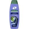 Шампунь Palmolive Naturals Проти лупи Дика м'ята 350 мл (8718951576919)