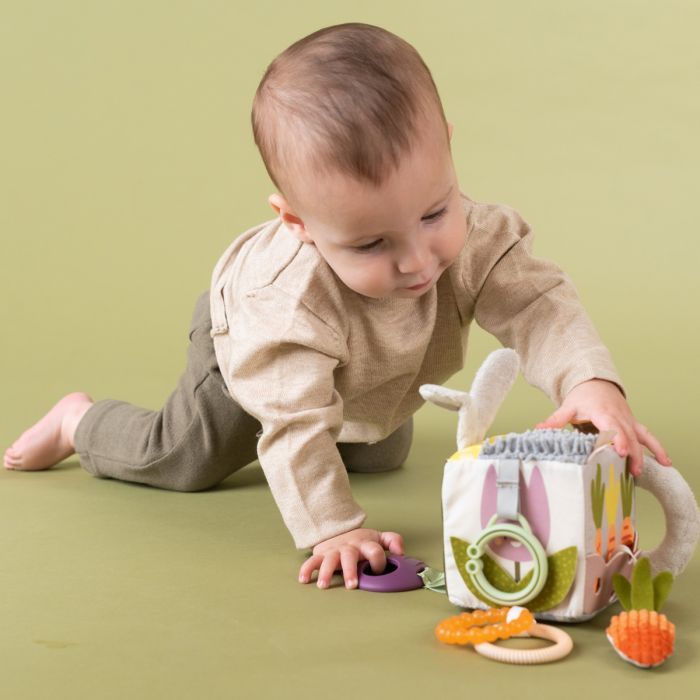 Развивающая игрушка Taf Toys кубик коллекции Садик в городе - Ежик и свекла (13095) изображение 6