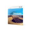 Струны для гитары D'Addario Phosphor Bronze Regular Light (12-53) (EJ16) изображение 2