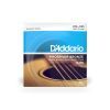 Струны для гитары D'Addario Phosphor Bronze Regular Light (12-53) (EJ16)