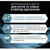 Влажный корм для кошек Purina Pro Plan Veterinary Diets CN Convalescence Выздоровление после операций Мусс для кошек и собак 195 г (8445290092939) изображение 5