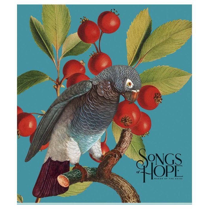Зошит Школярик Birds 96 аркушів клітинка (096-3410K)
