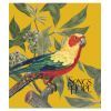 Зошит Школярик Birds 96 аркушів клітинка (096-3410K) зображення 4