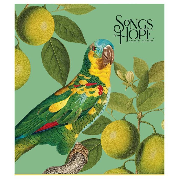 Зошит Школярик Birds 96 аркушів клітинка (096-3410K) зображення 5
