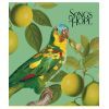 Зошит Школярик Birds 96 аркушів клітинка (096-3410K) зображення 5