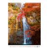 Календар Axent настінний А3 2026 р.Waterfalls (8804-26-2-A) зображення 10