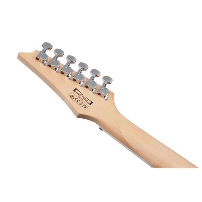 Электрогитара Ibanez GRG170DX SV (301650) изображение 7