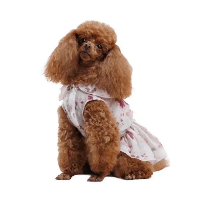 Сукня для тварин Pet Fashion Amelia S (4823082446445) зображення 4