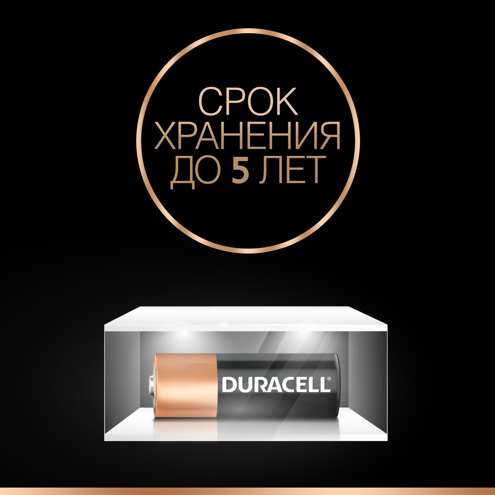 Батарейка Duracell MN21 / A23 (5000394011212 / 5007811) изображение 3
