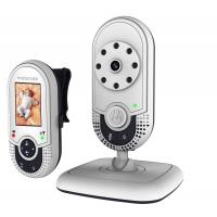 Видеоняня Motorola MBP421 (Гр5559)