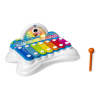 Розвиваюча іграшка Chicco Flashy the Xylophone (09819.10)