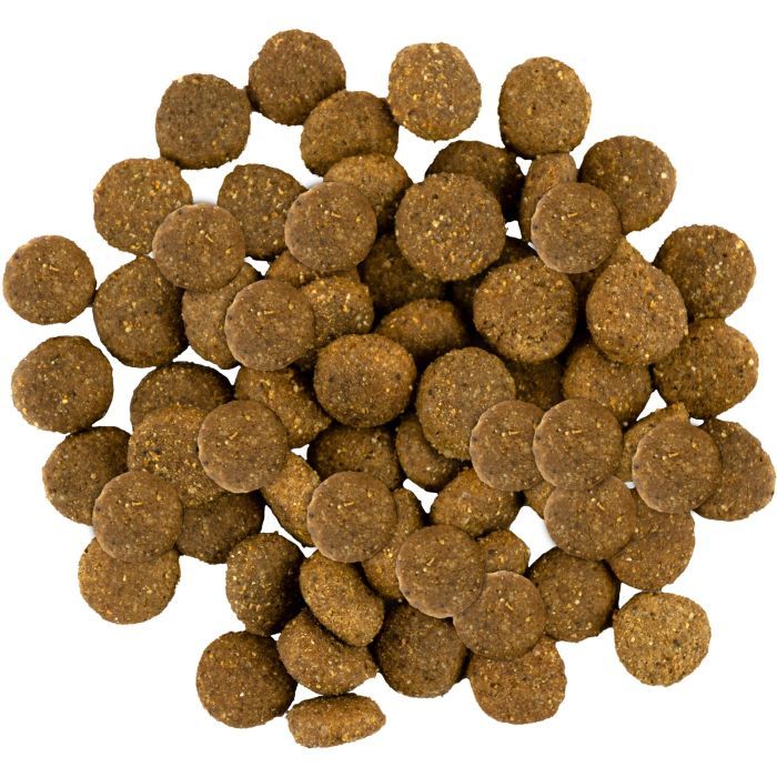 Сухий корм для собак Savory Junior Large rich in Fresh Turkey and Chicken 12 кг (4820232630211) зображення 5