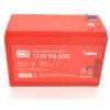 Батарея LiFePo4 Merlion LFP12.8-9US