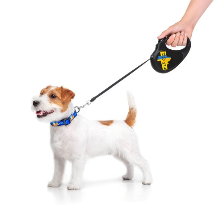 Повідець для собак WAUDOG R-leash Дім світловідбиваюча стрічка M 5 м (8125-0230-01) зображення 5
