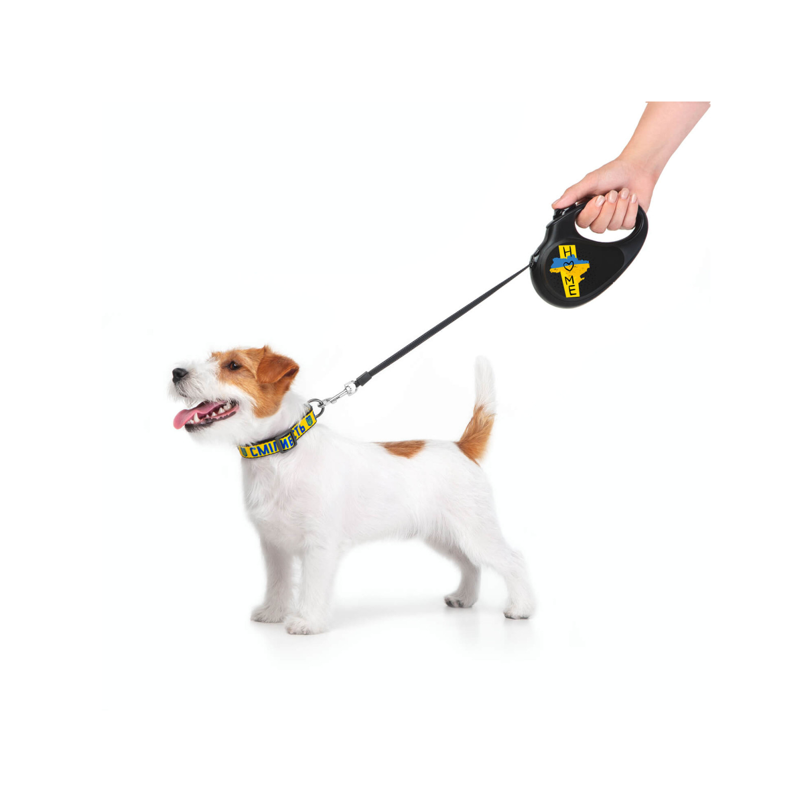 Повідок для собак WAUDOG R-leash Дім світловідбиваюча стрічка XS 3 м (8123-0230-01) зображення 6
