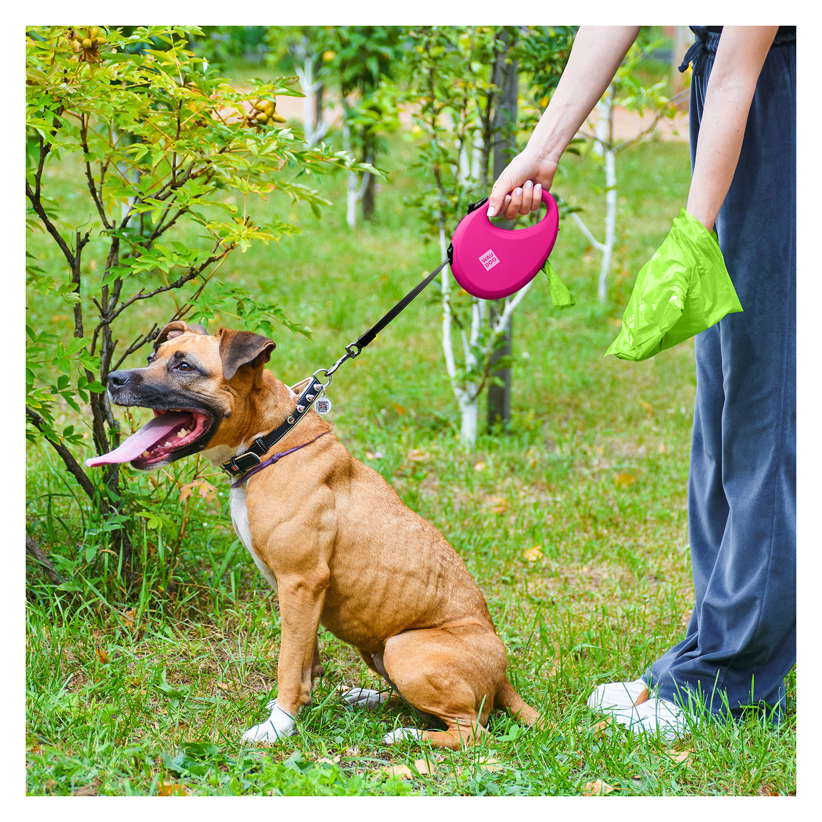 Поводок для собак WAUDOG R-leash с контейнером для пакетов L до 40 кг 5 м зеленый (262918) изображение 7