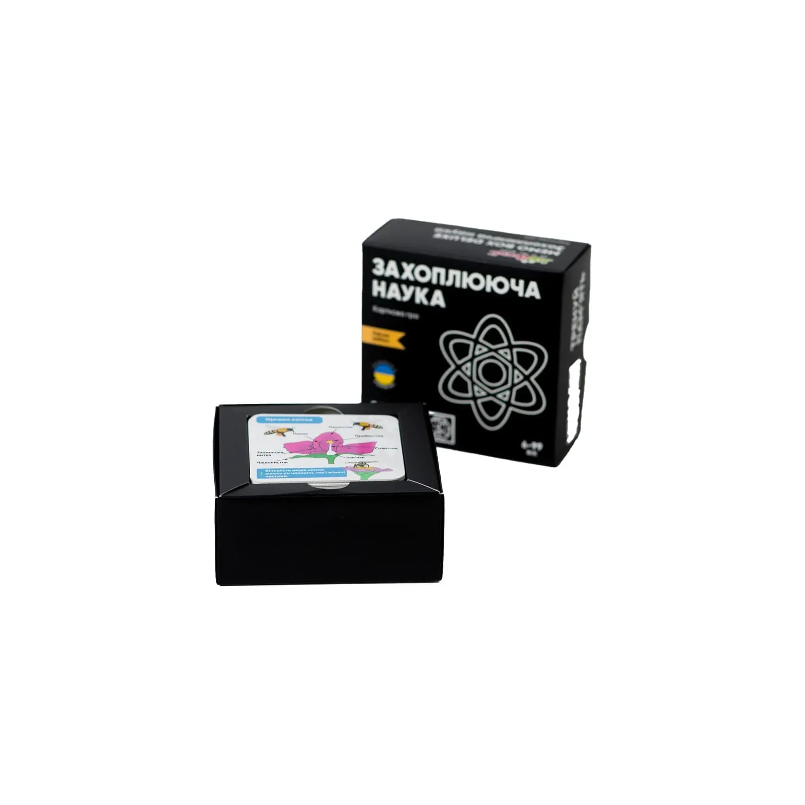 Настольная игра JoyBand MemoBox Delux Увлекательная наука (MBD105) изображение 2