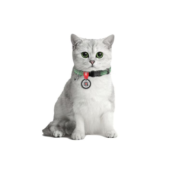 Ошейник для животных WAUDOG Re-cotton с QR паспортом, пластиковый фастекс XS оранжевый (16424) изображение 3