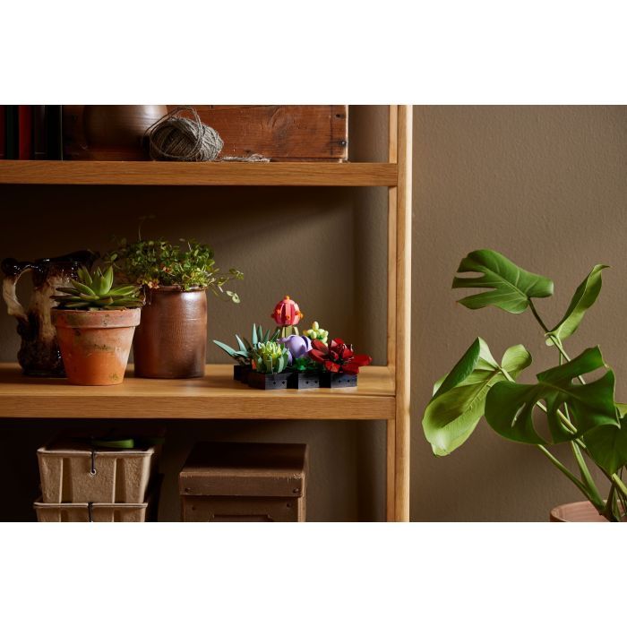 Конструктор LEGO Botanicals Суккуленты (10309-) изображение 11