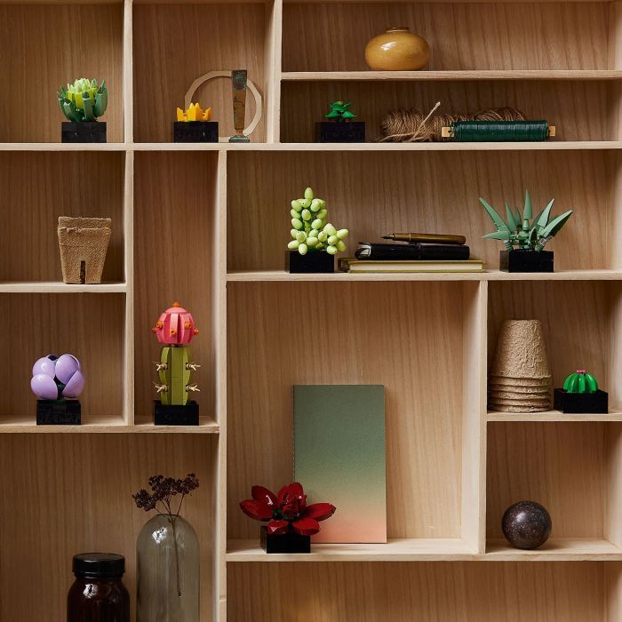 Конструктор LEGO Botanicals Суккуленты (10309-) изображение 12