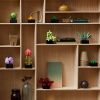 Конструктор LEGO Botanicals Суккуленты (10309-) изображение 12