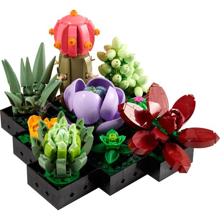 Конструктор LEGO Botanicals Суккуленты (10309-) изображение 2