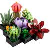 Конструктор LEGO Botanicals Суккуленты (10309-) изображение 2