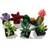 Конструктор LEGO Botanicals Суккуленты (10309-) изображение 5