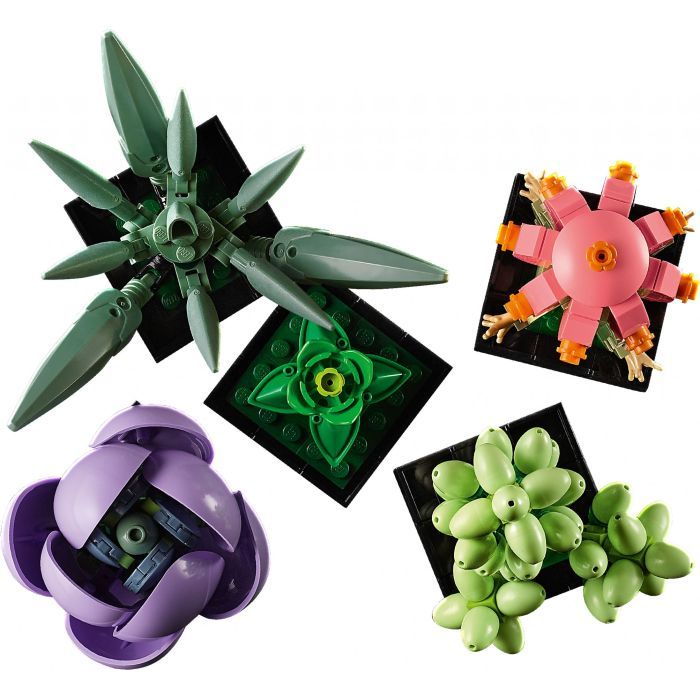 Конструктор LEGO Botanicals Суккуленты (10309-) изображение 7