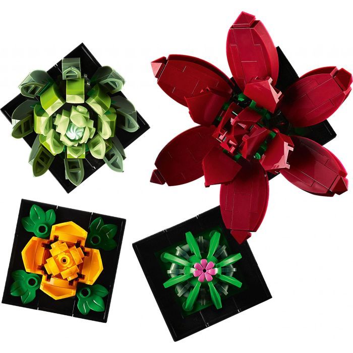 Конструктор LEGO Botanicals Суккуленты (10309-) изображение 8