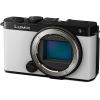 Цифровой фотоаппарат Panasonic Lumix DC-S9 Kit 18-40mm f/4.5-6.3 Smokey White (DC-S9NE-W) изображение 2
